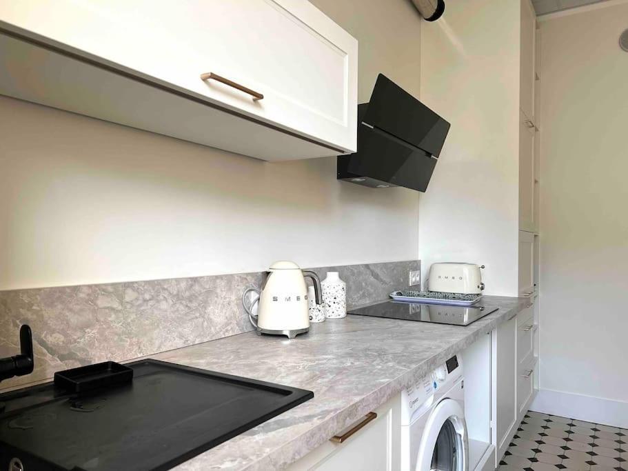 Appartement Entierement Renove Proche Gare غرونوبل المظهر الخارجي الصورة