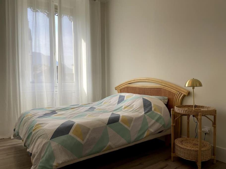 Appartement Entierement Renove Proche Gare غرونوبل المظهر الخارجي الصورة